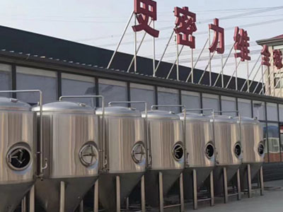 鄂州精酿啤酒设备厂—如何判断精酿啤酒设备的密封件需要更换？